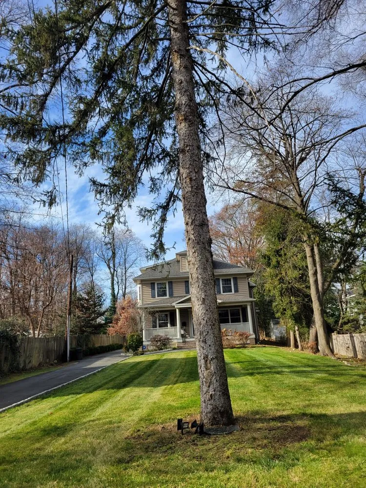 Affordable outdoor landscaping for residential properties across Ridgewood, NJ - Rose Forest Landscaping