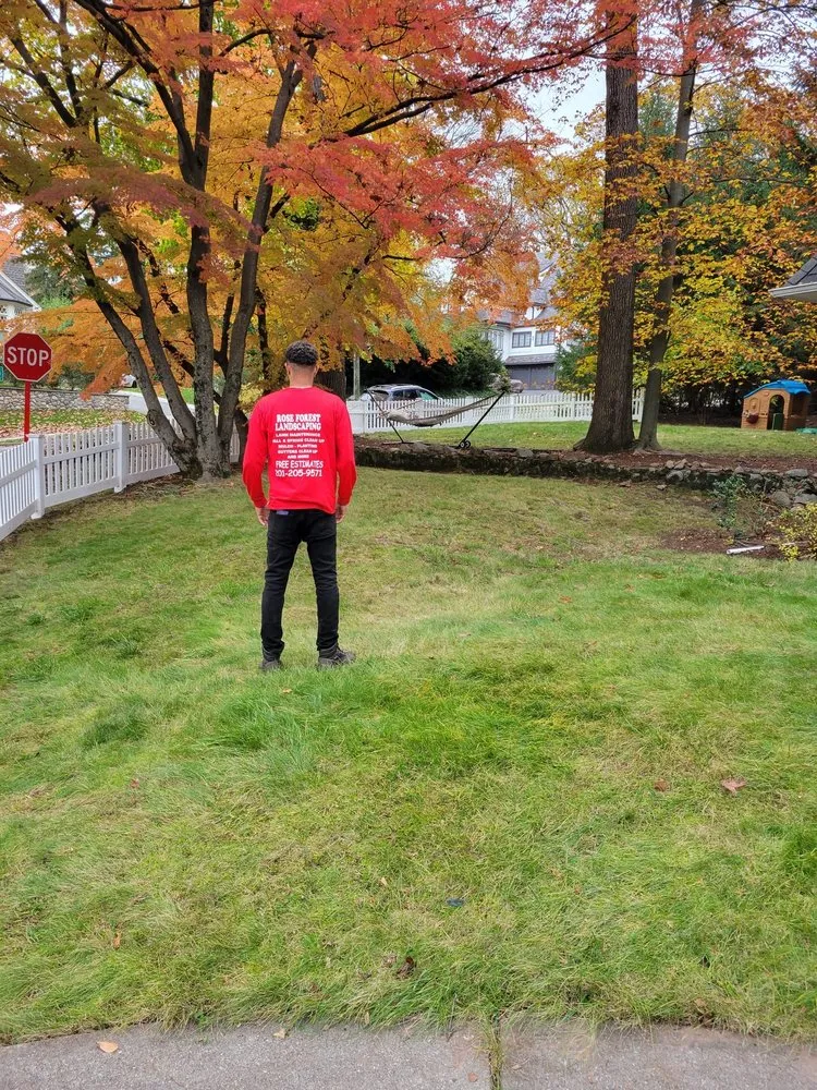 Affordable yard cleanup service with custom design in Ridgewood, NJ by Rose Forest Landscaping