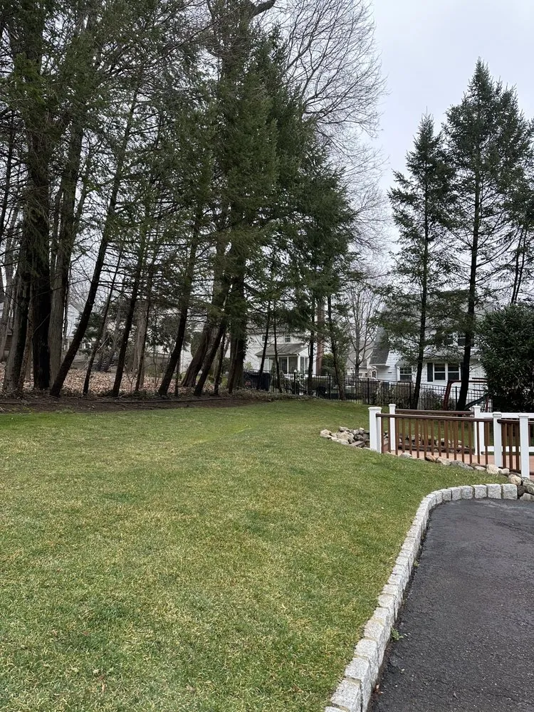 Expert landscaping services with custom design in Ridgewood, NJ by Rose Forest Landscaping