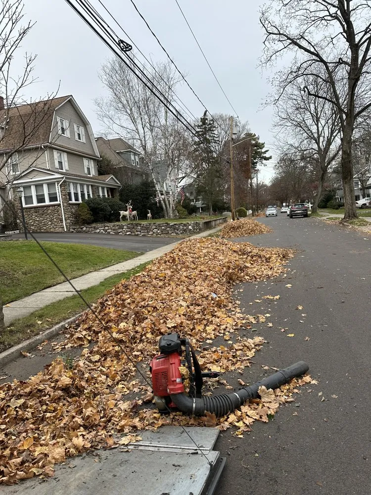 Top-rated yard maintenance for outdoor upgrades in Ridgewood, NJ by Rose Forest Landscaping