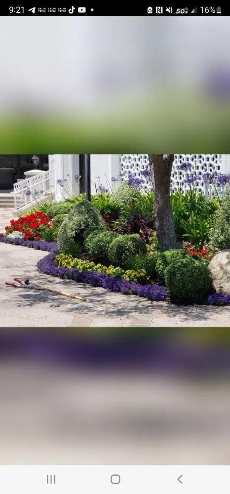 Expert lawn mowing service experts serving Los Angeles, CA - Rose Garden Landscaping