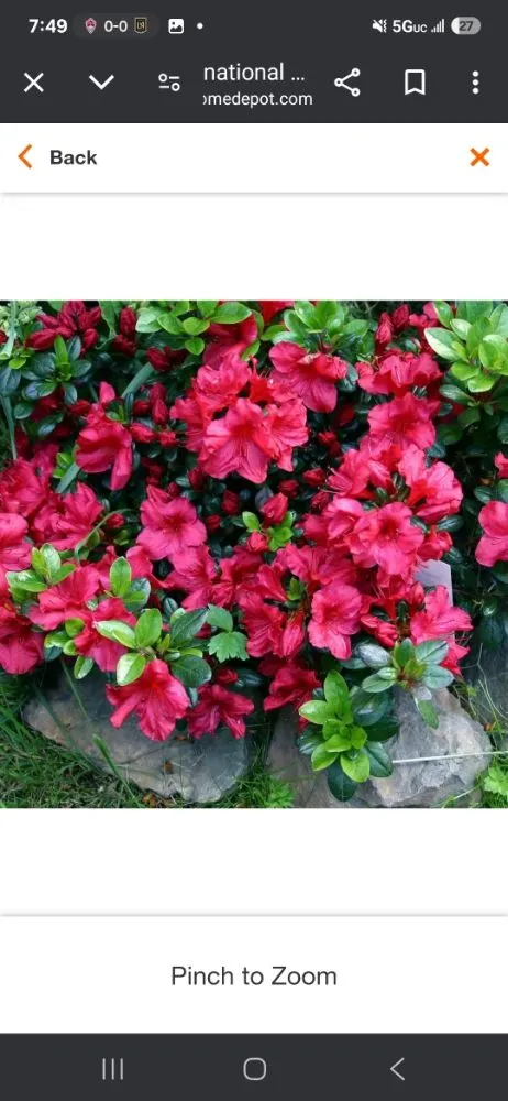 Reliable garden landscaping in Los Angeles, CA by Rose Garden Landscaping