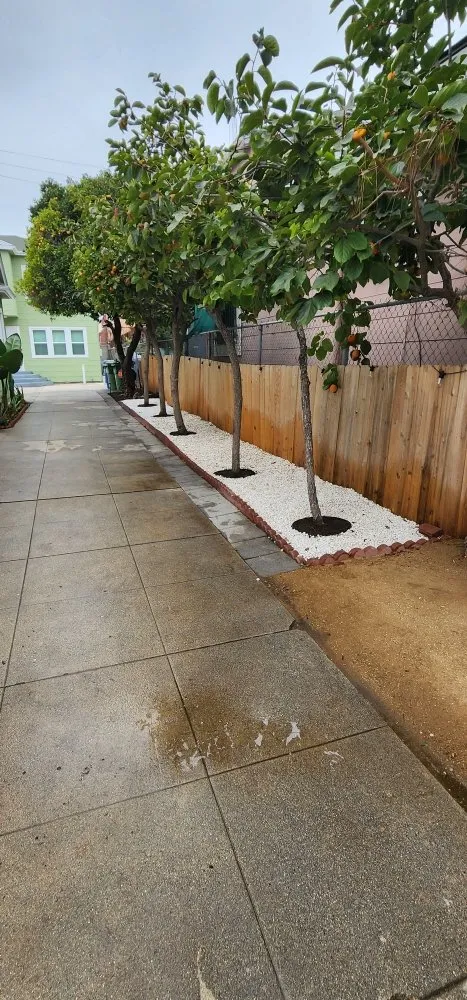Professional garden landscaping in Los Angeles, CA - Rose Garden Landscaping