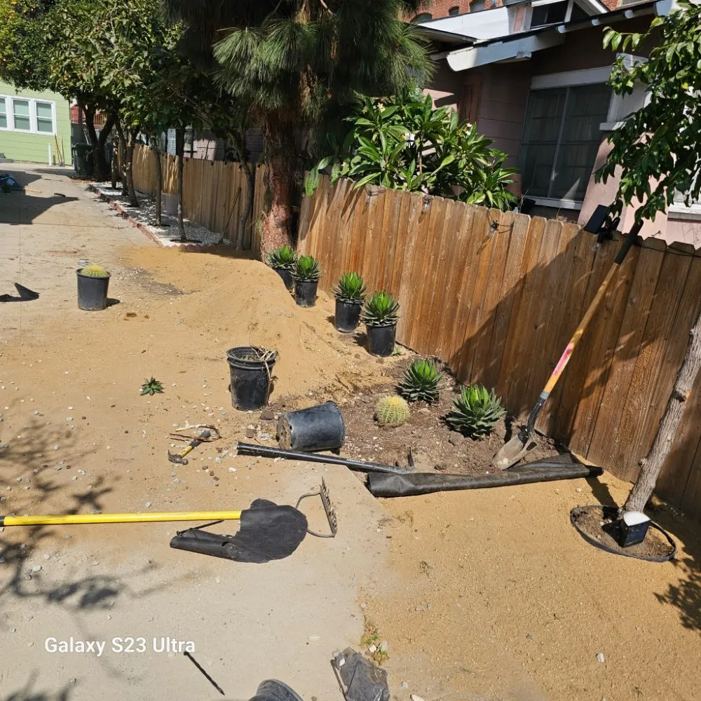Reliable garden landscaping in Los Angeles, CA - Rose Garden Landscaping