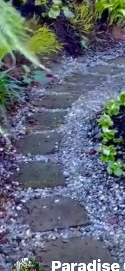 Affordable residential landscaping in Marietta, GA - Rose Garden