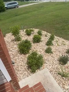 Top-rated garden landscaping in Marietta, GA - Rose Garden