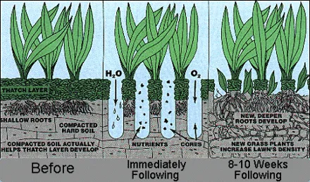 Affordable landscape installation experts serving Terre Haute, IN - Rose Hill Landscaping