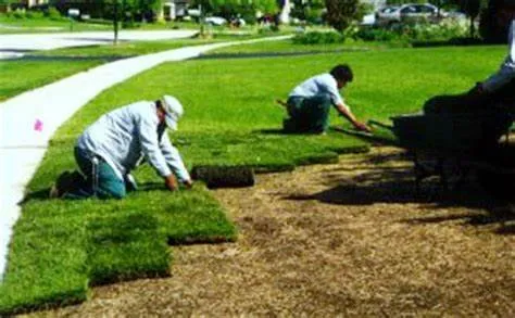 Affordable landscape installation experts serving Terre Haute, IN - Rose Hill Landscaping