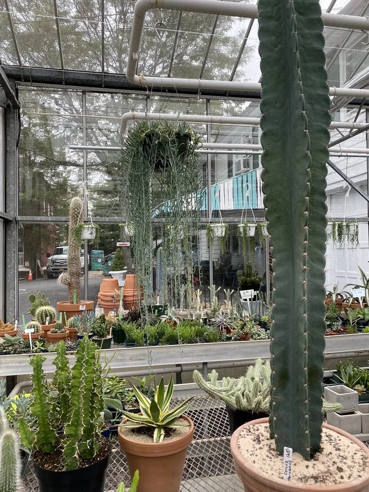 Custom outdoor landscaping for residential properties across New Rochelle, NY - Rose Hill Nurseries