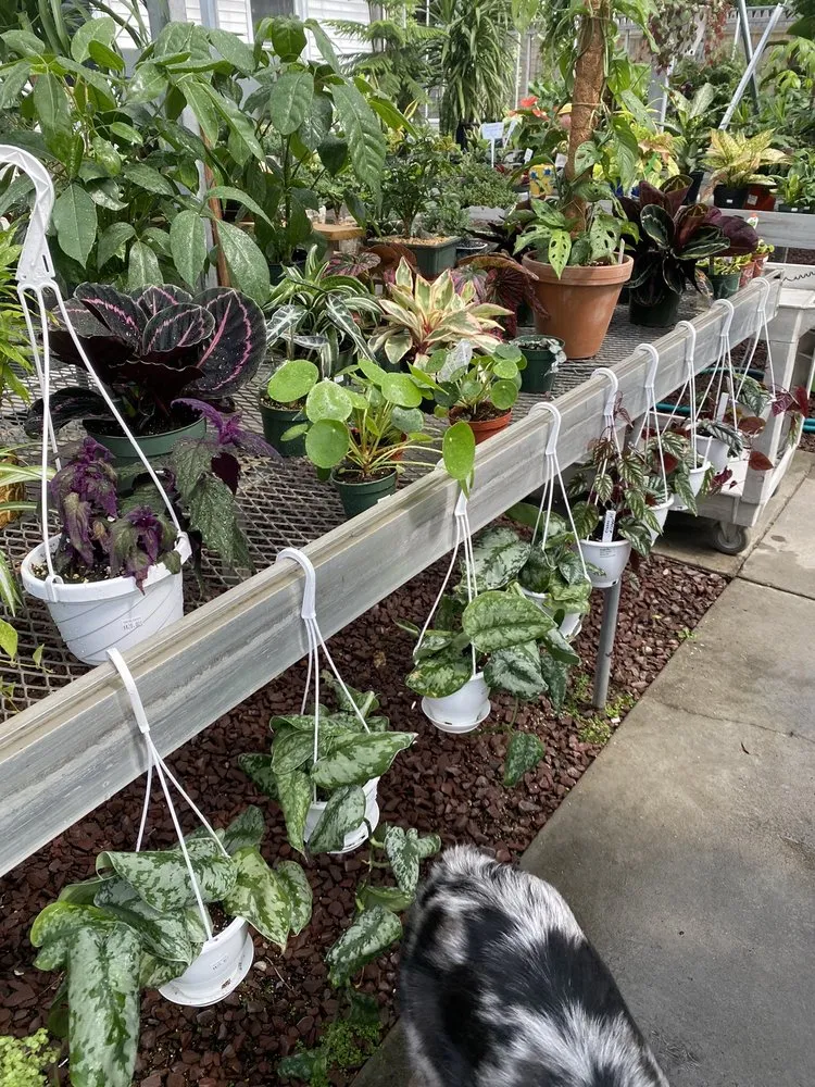 Reliable yard maintenance for residential properties in New Rochelle, NY by Rose Hill Nurseries