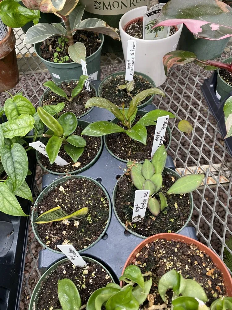 Affordable outdoor landscaping near you across New Rochelle, NY - Rose Hill Nurseries