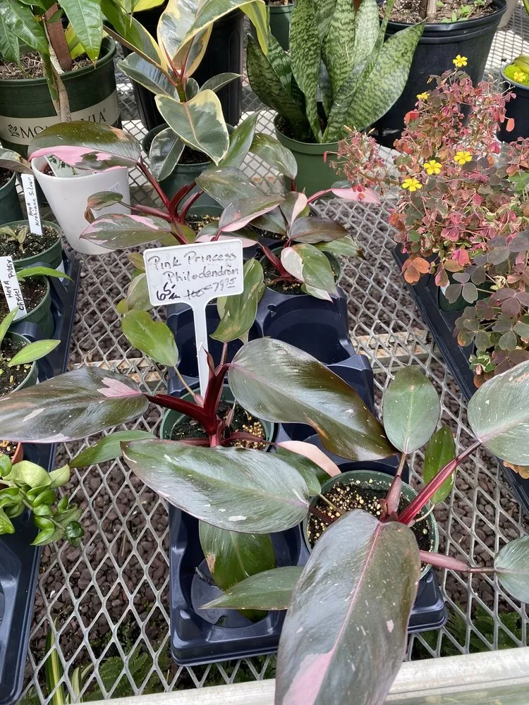 Expert landscape installation in New Rochelle, NY - Rose Hill Nurseries