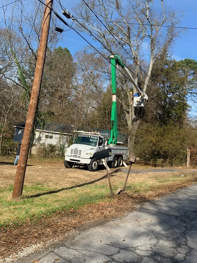Professional lawn mowing service for year-round maintenance in Whitmire, SC by Rose Landscape & Tree service