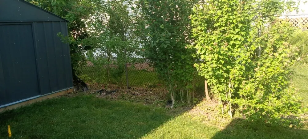 Professional landscape installation experts serving Hobart, IN - Rose Landscaping & Maintenance