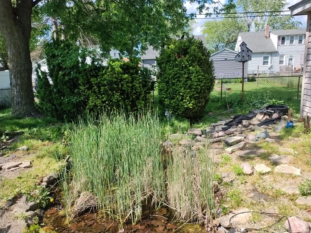 Top-rated landscaping services for beautiful yards in Hobart, IN by Rose Landscaping & Maintenance