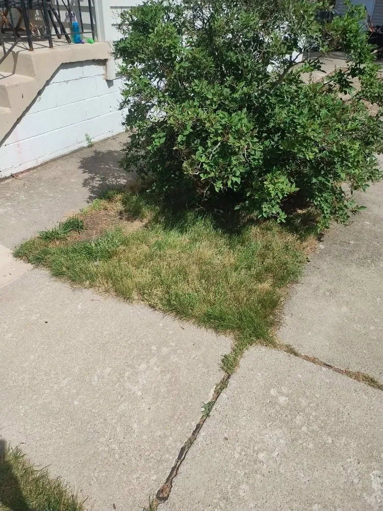 Reliable garden landscaping experts serving Hobart, IN - Rose Landscaping & Maintenance