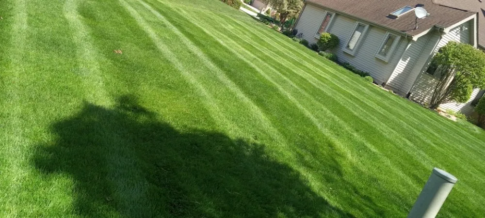 Affordable lawn care service in Hobart, IN - Rose Landscaping & Maintenance
