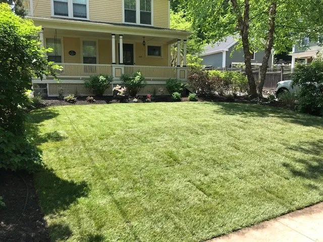 Top-rated yard cleanup service experts serving Arlington, MA - Rose Landscaping and Construction