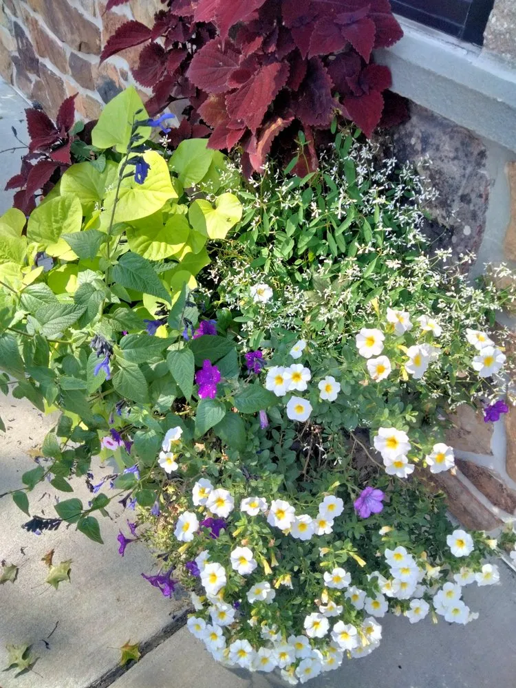 Trusted garden landscaping in Elkton, MD by Rose Landscaping