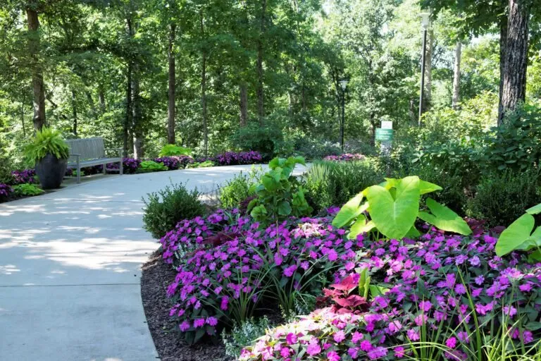 Reliable yard cleanup service in Elkton, MD - Rose Landscaping