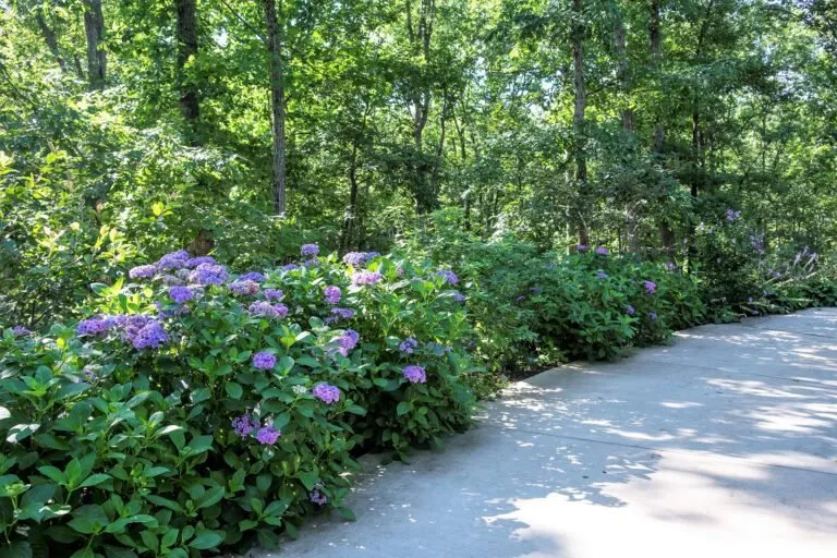 Expert landscape design in Elkton, MD - Rose Landscaping