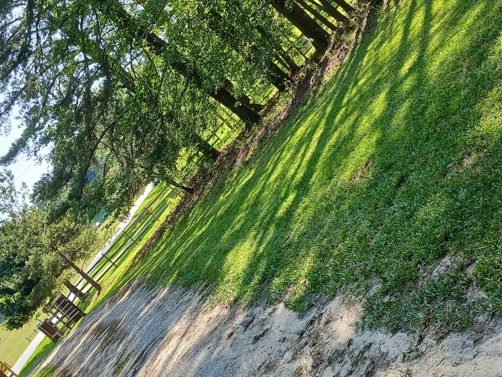 Trusted garden landscaping for year-round maintenance across Oxford, GA - Rose Landscaping