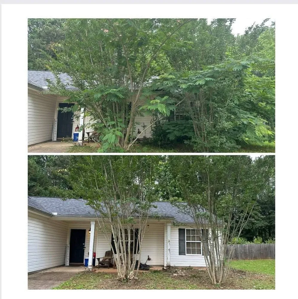 Trusted landscape design for year-round maintenance across Oxford, GA - Rose Landscaping