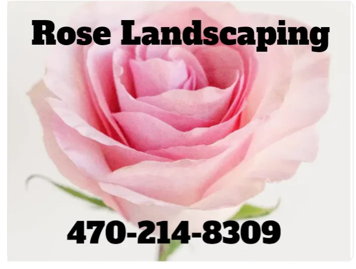 Professional yard cleanup service in Oxford, GA - Rose Landscaping