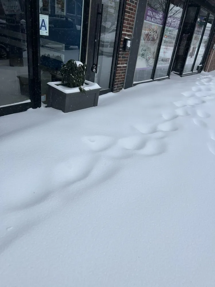 Expert lawn mowing service in Staten Island, NY by Rose Landscaping