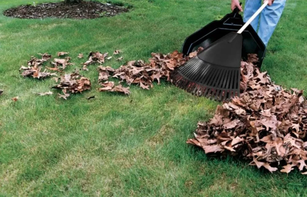 Custom yard maintenance in Newark, NJ by Rose Landscapping