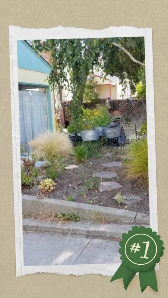 Expert landscape installation in Newark, NJ - Rose Landscapping