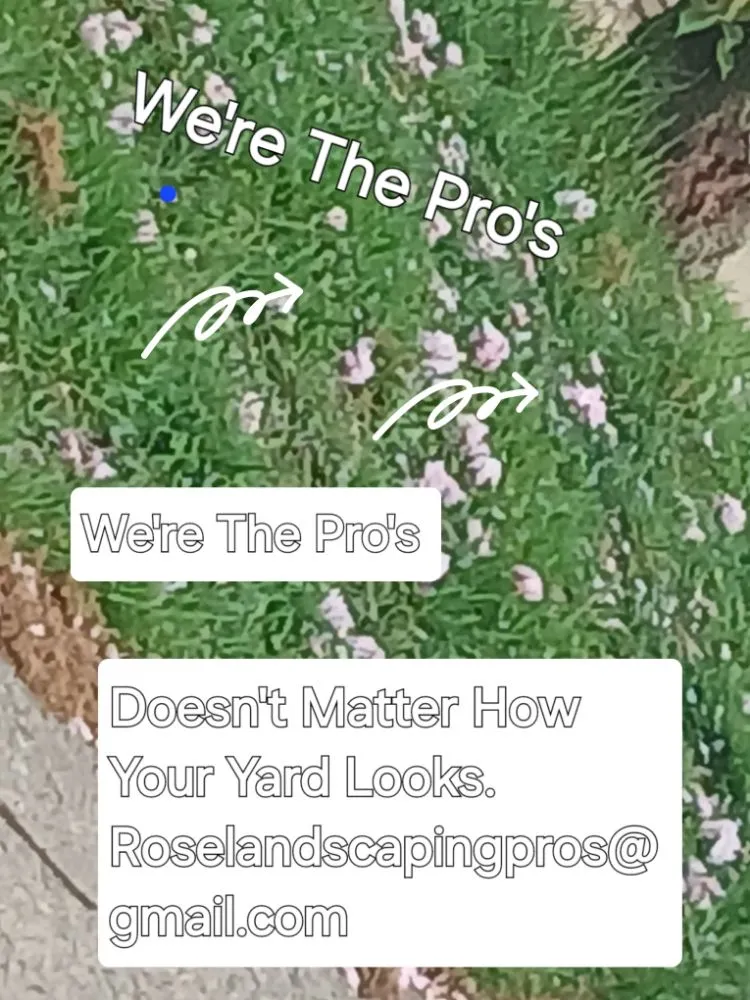 Professional residential landscaping in Newark, NJ - Rose Landscapping