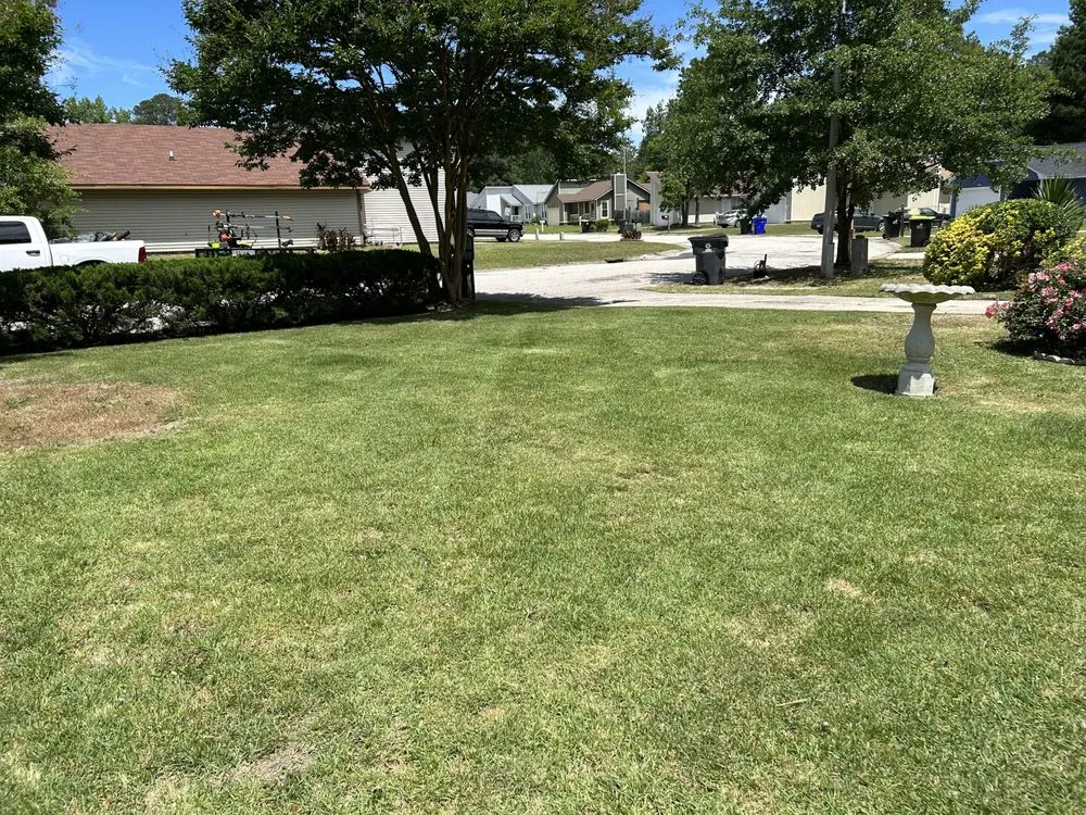 Custom landscape design for year-round maintenance across Fayetteville, NC - Rose Lawn Maintenance