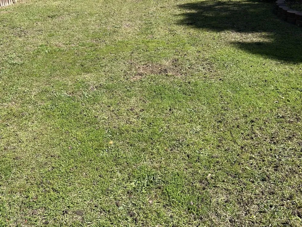 Affordable landscape installation in Fayetteville, NC - Rose Lawn Maintenance