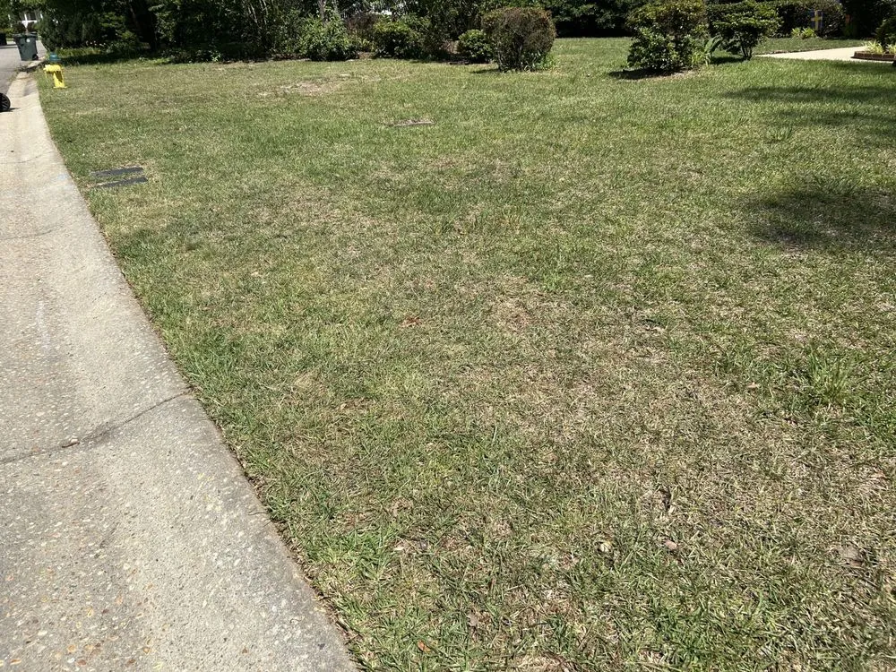 Local lawn care service for homes in Fayetteville, NC by Rose Lawn Maintenance