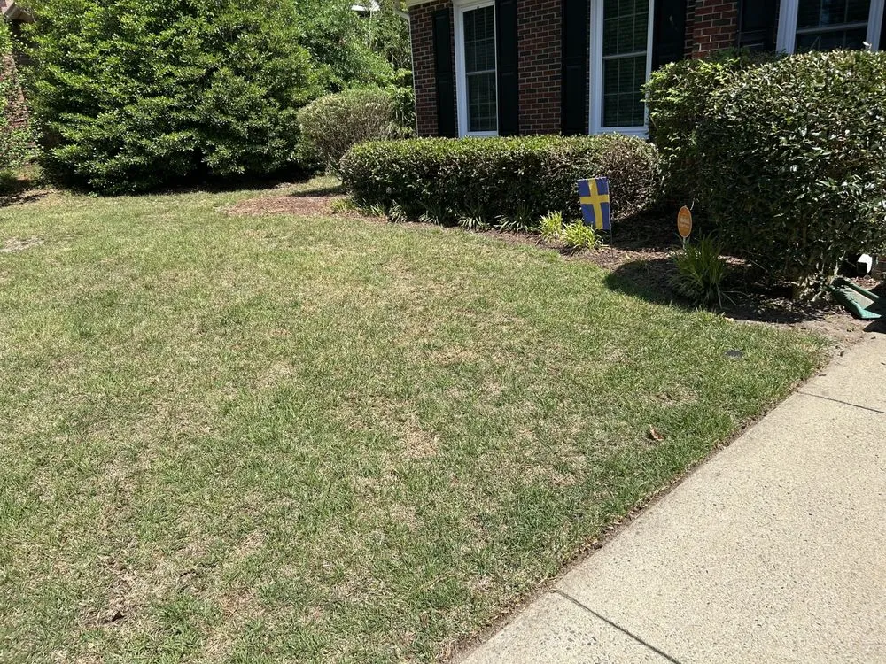 Top-rated outdoor landscaping in Fayetteville, NC - Rose Lawn Maintenance
