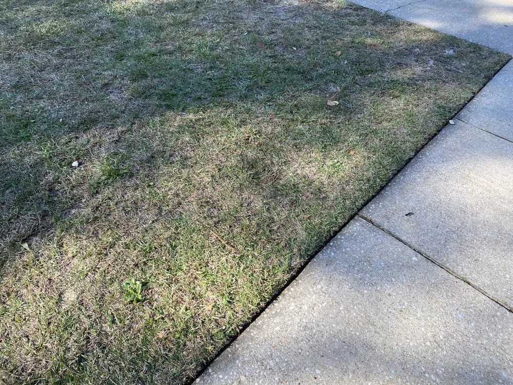 Reliable garden landscaping in Fayetteville, NC - Rose Lawn Maintenance