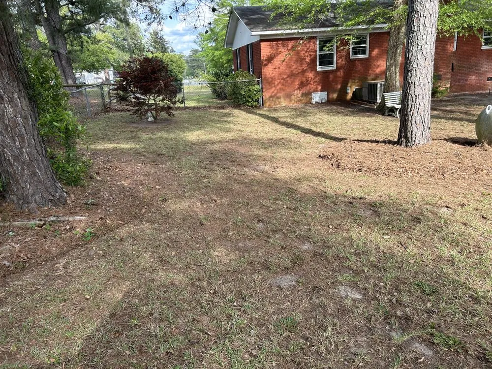 Professional residential landscaping experts serving Fayetteville, NC - Rose Lawn Maintenance