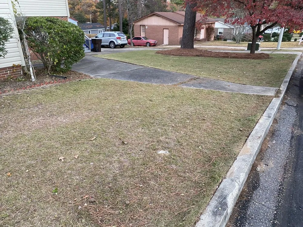 Reliable lawn care service in Fayetteville, NC by Rose Lawn Maintenance