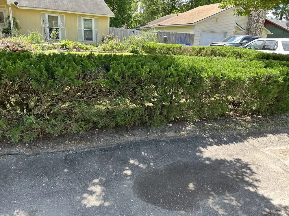 Expert landscape design in Fayetteville, NC - Rose Lawn Maintenance