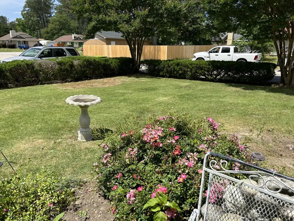 Professional landscaping services in Fayetteville, NC - Rose Lawn Maintenance