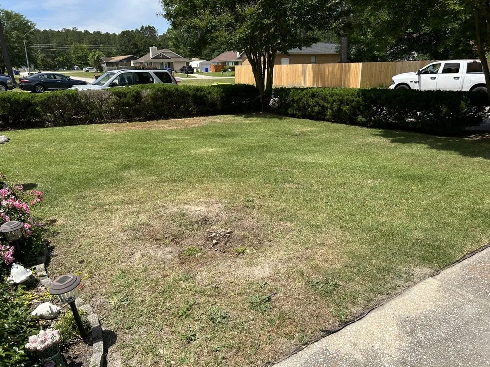 Local landscape installation experts serving Fayetteville, NC - Rose Lawn Maintenance