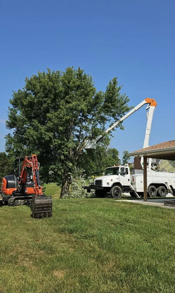 Reliable landscaping services in Jonesborough, TN by Rose Lawncare and Landscaping