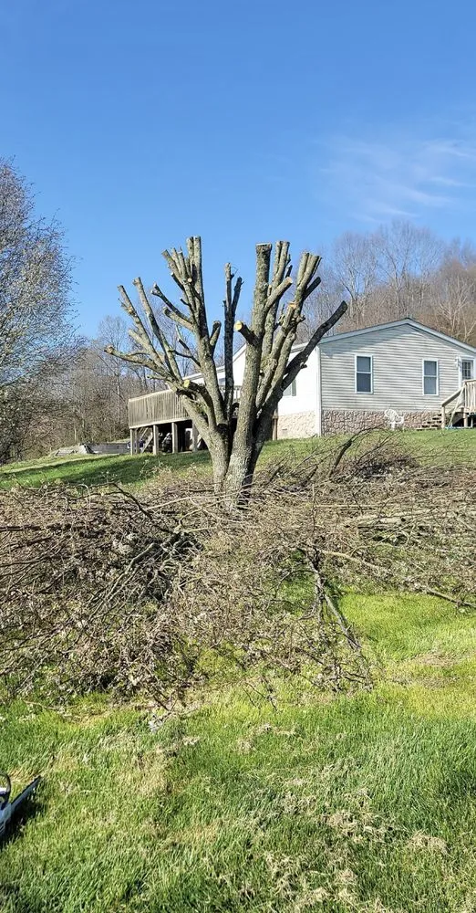 Affordable lawn care service experts serving Jonesborough, TN - Rose Lawncare and Landscaping