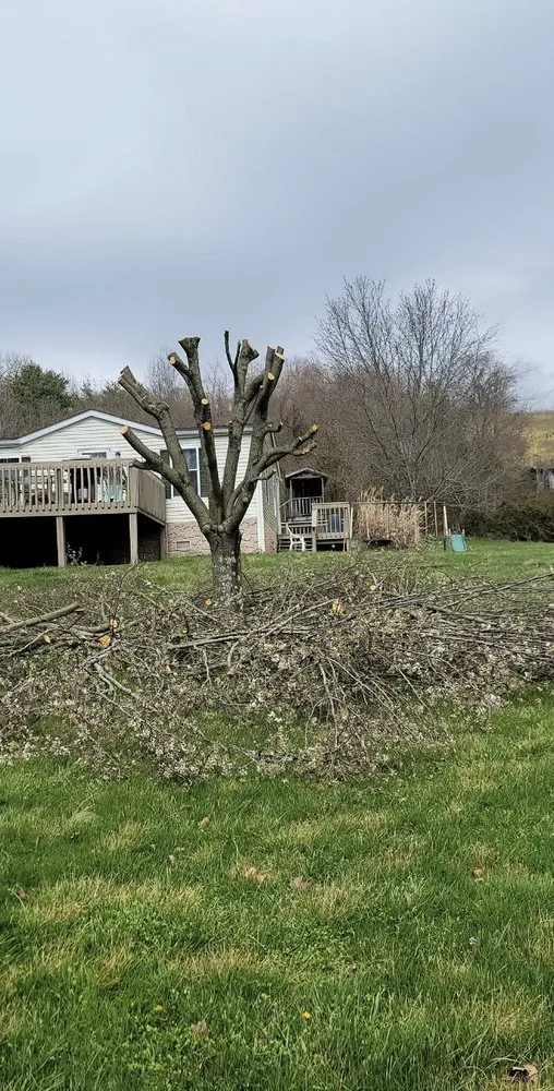 Professional landscaping services for residential properties across Jonesborough, TN - Rose Lawncare and Landscaping