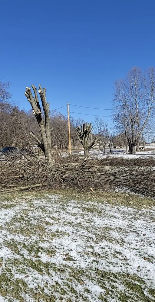 Trusted residential landscaping in Jonesborough, TN - Rose Lawncare and Landscaping