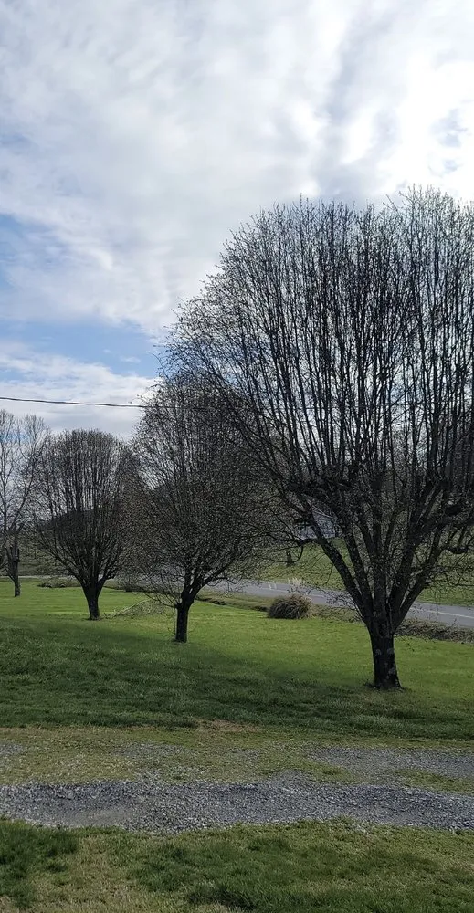 Professional lawn mowing service for outdoor upgrades across Jonesborough, TN - Rose Lawncare and Landscaping