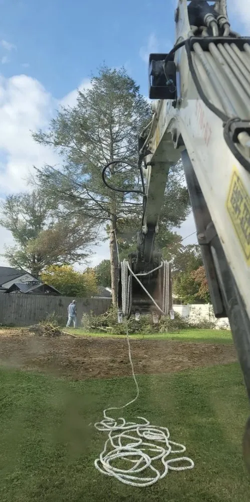 Expert outdoor landscaping experts serving Jonesborough, TN - Rose Lawncare and Landscaping