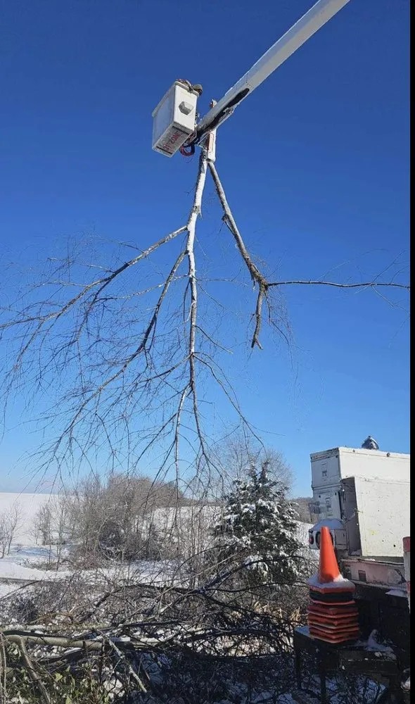 Reliable lawn mowing service in Jonesborough, TN by Rose Lawncare and Landscaping