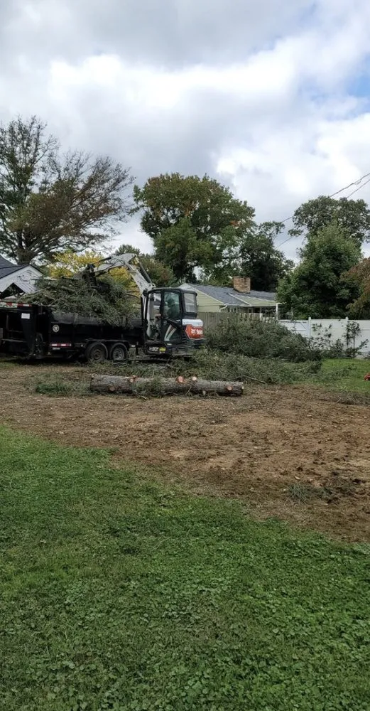 Expert yard cleanup service in Jonesborough, TN - Rose Lawncare and Landscaping